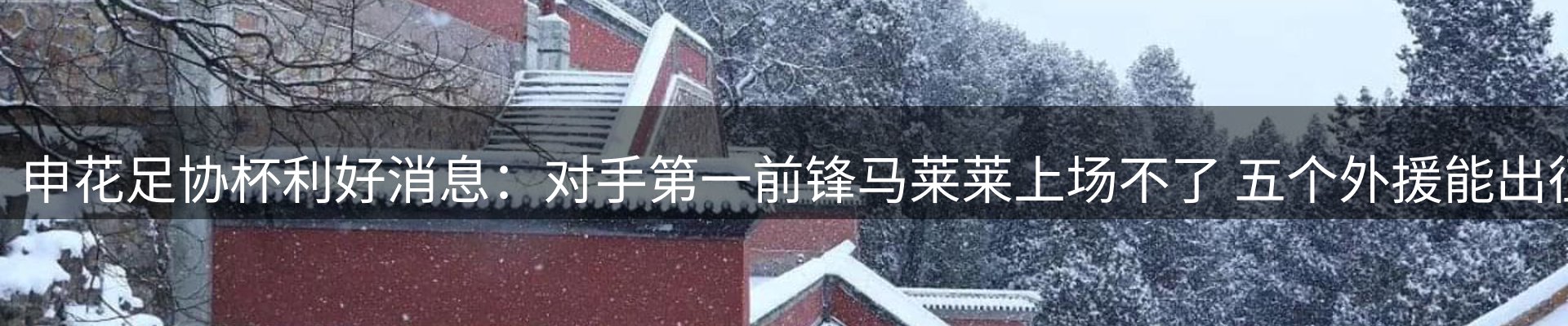 公司消息